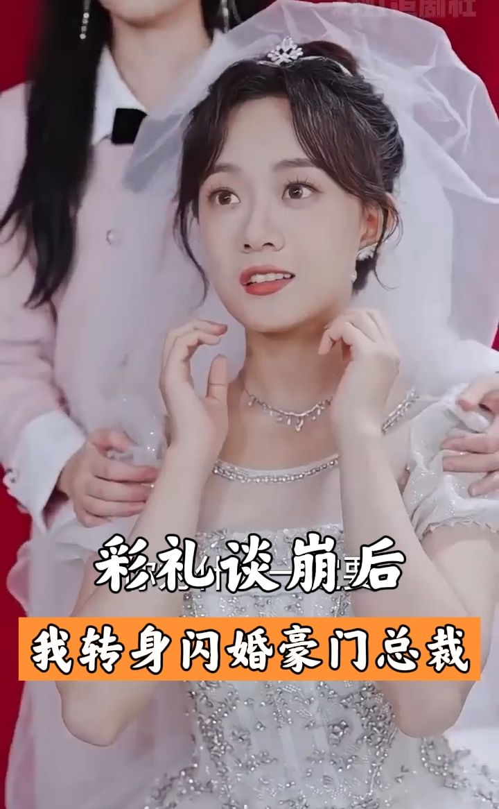 彩礼谈崩后我闪婚了豪门老公海报图