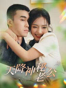 天降神秘老公海报图
