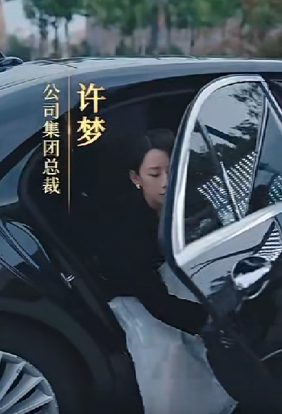 女老板的复仇海报图