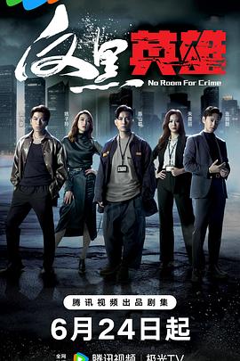 反黑英雄粤配封面图