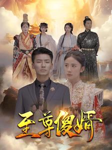 至尊傻婿海报图