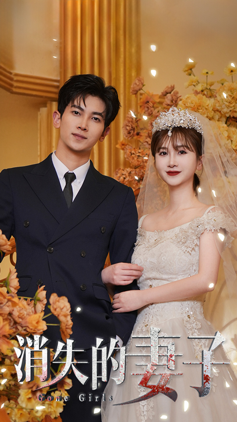 新：消失的妻子海报图