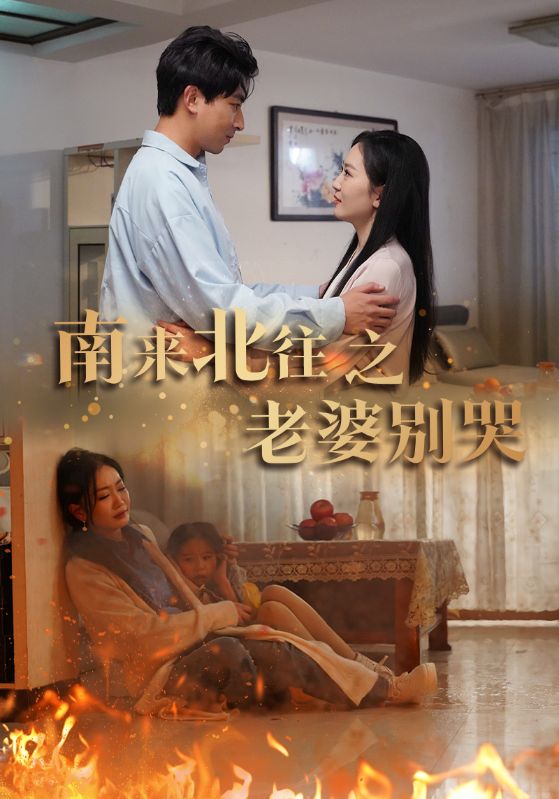 南来北往之老婆别哭海报图