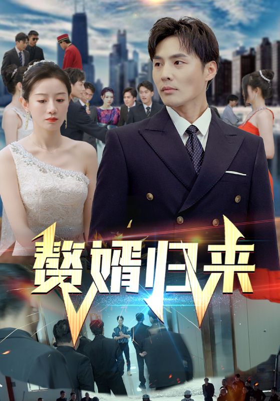 赘婿归来海报图