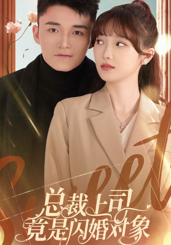 总裁上司竟是闪婚对象海报图