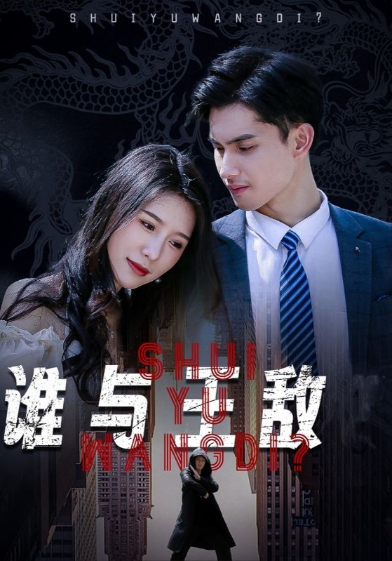 谁与王敌海报图
