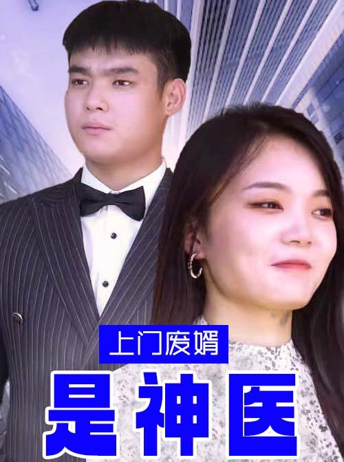 上门废婿是神医海报图