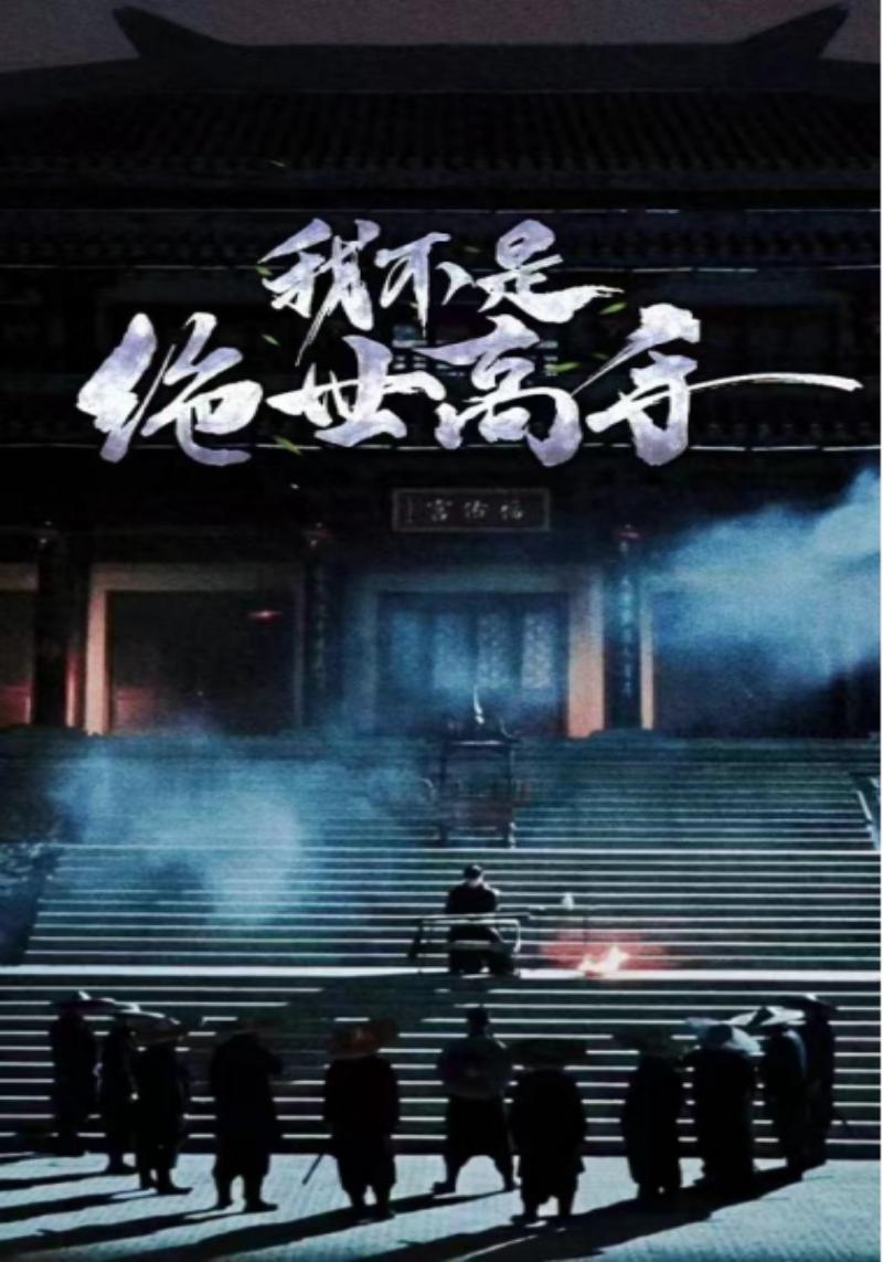 我不是绝世高手海报图