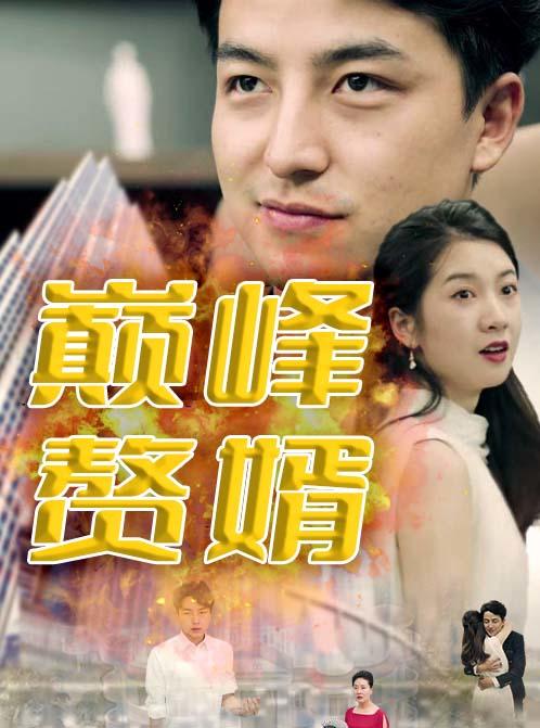 巅峰赘婿海报图