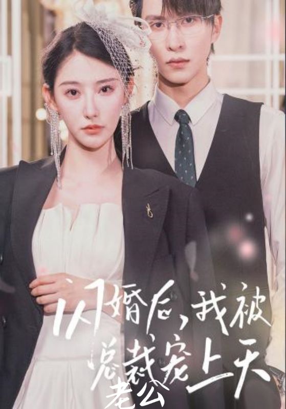 闪婚后，我被总裁老公宠上天海报图
