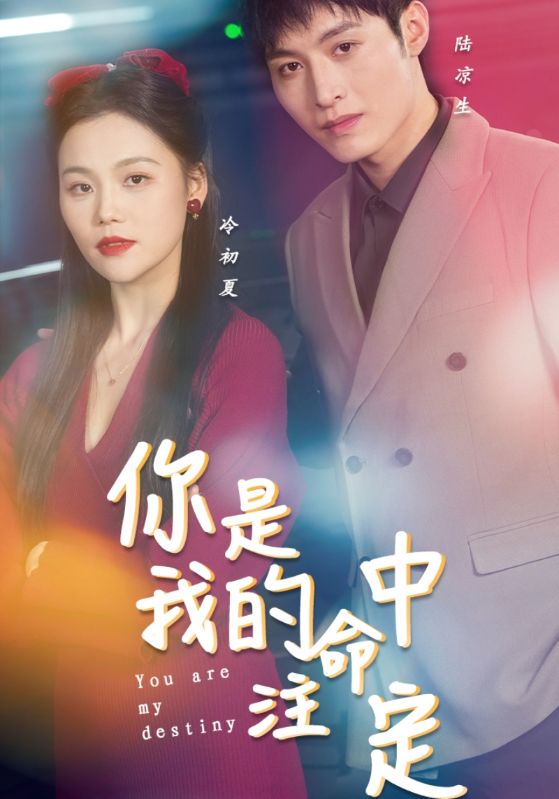 你是我的命中注定海报图