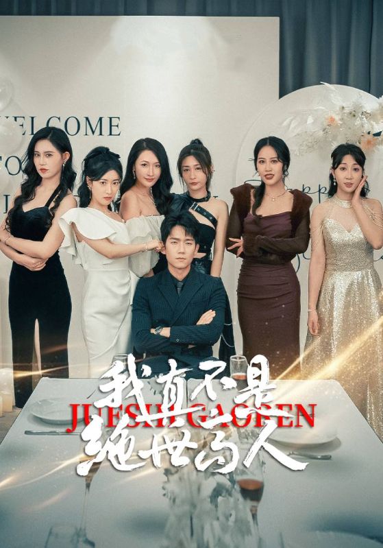 我真不是绝世高人海报图