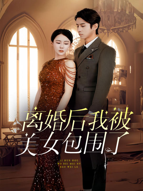 离婚后，我被美女包围了海报图