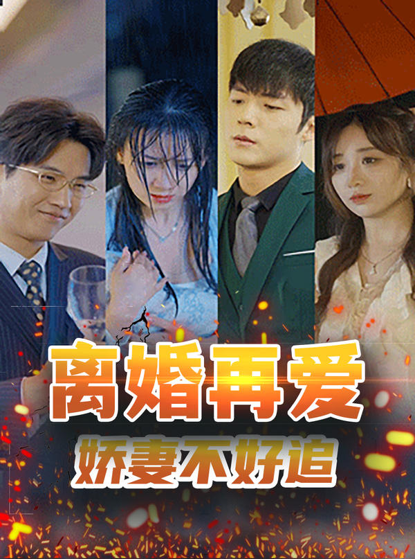 离婚再爱，娇妻不好追海报图