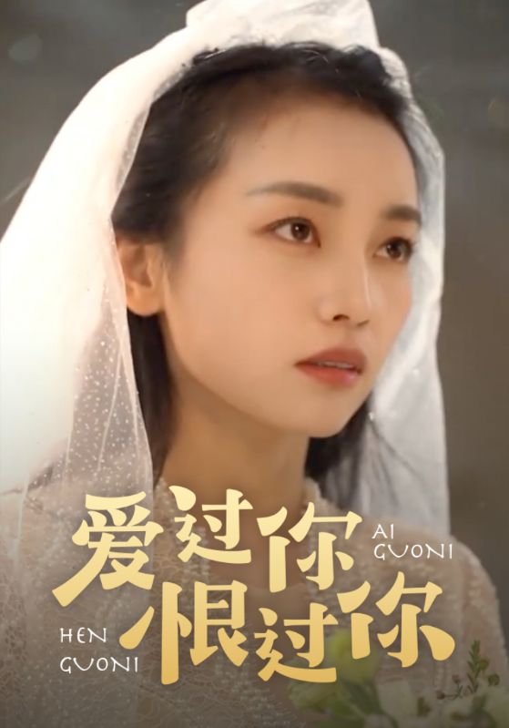 爱过你恨过你海报图