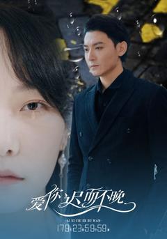爱你迟而不晚海报图