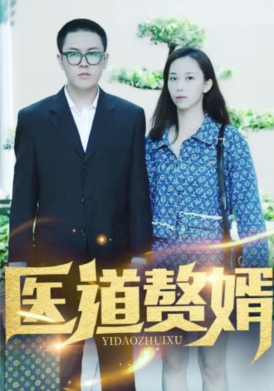 医道赘婿海报图