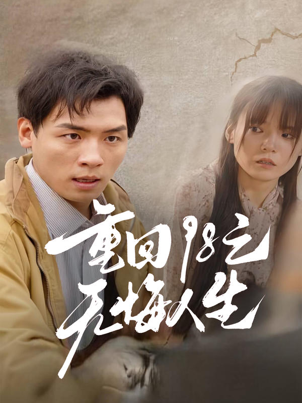 重回98之无悔人生海报图