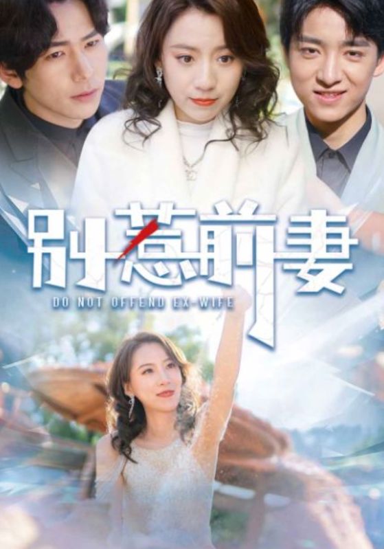 别惹前妻海报图