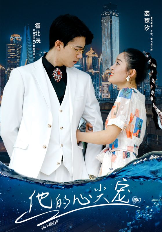 他的心尖宠海报图