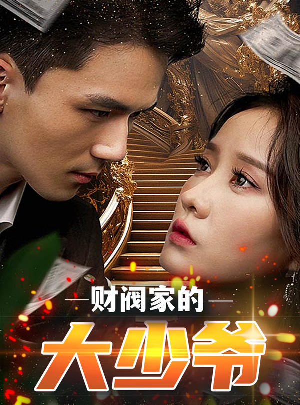 财阀家的大少爷海报图