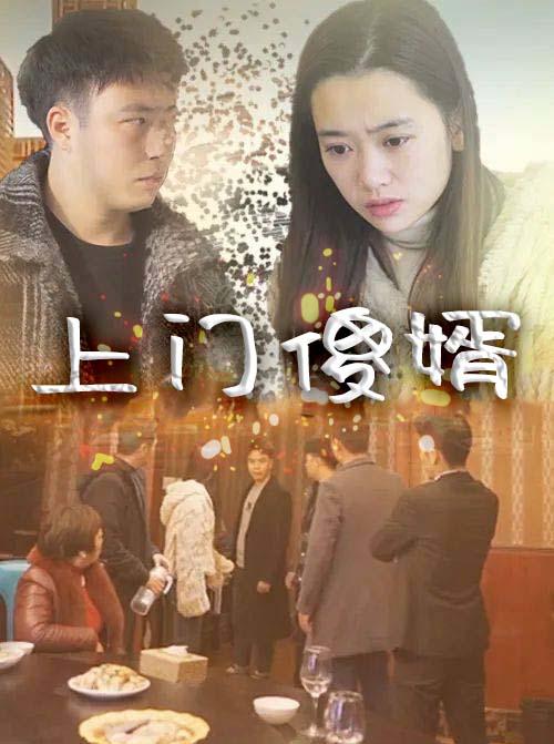 上门傻婿海报图