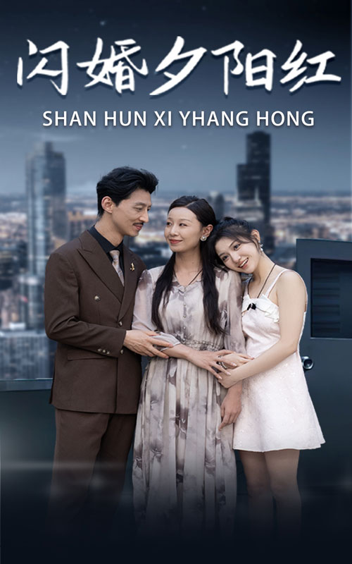 闪婚夕阳红海报图