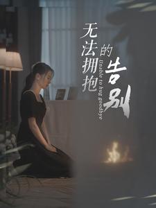 无法拥抱的告别海报图