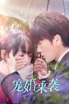 宠婚来袭海报图