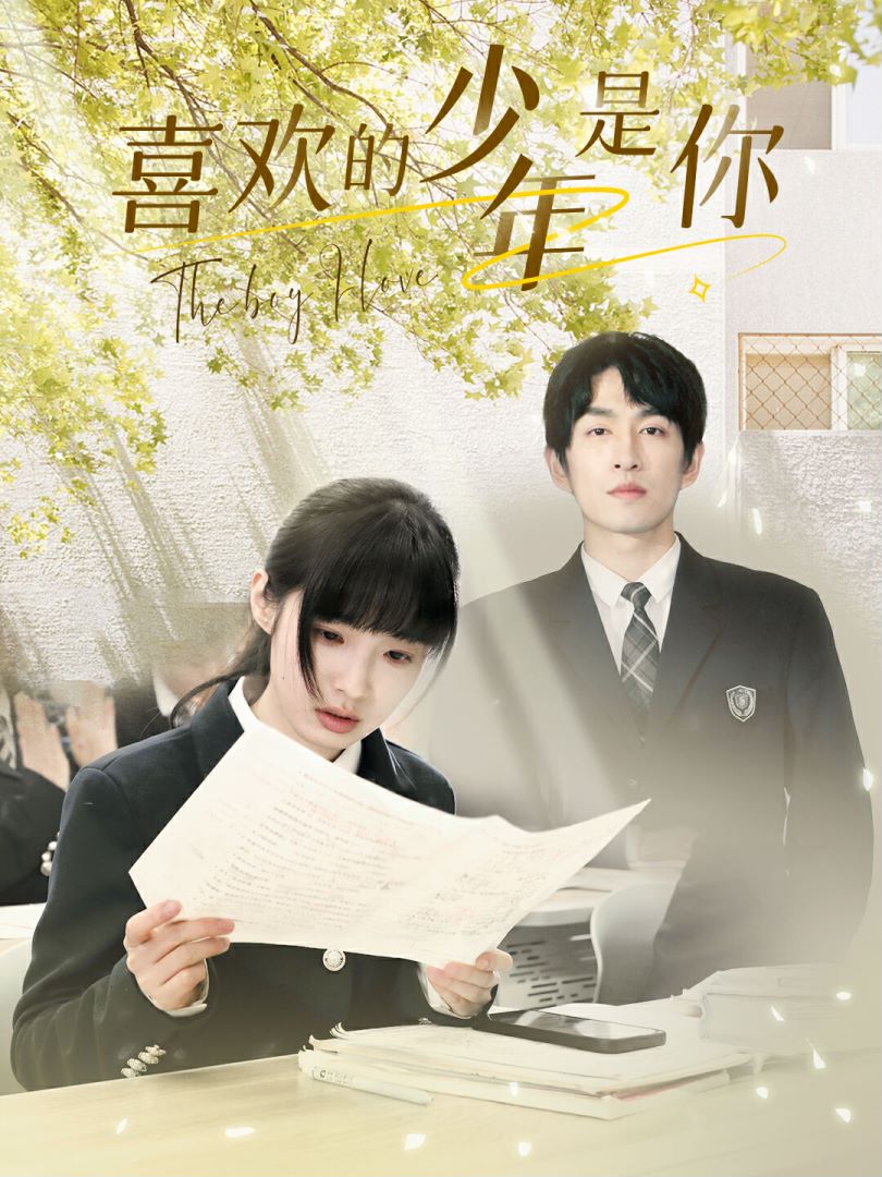喜欢的少年是你海报图