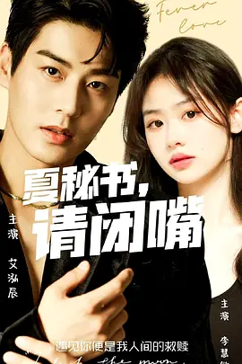 夏秘书，请闭嘴海报图