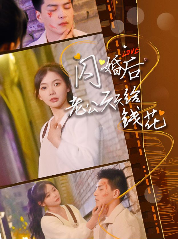闪婚后老公天天给钱花海报图