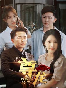 尊龙封面图
