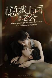 闪婚成宠，总裁老公是上司海报图
