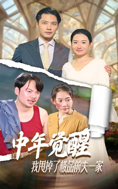 中年觉醒，我甩掉了极品前夫一家海报图