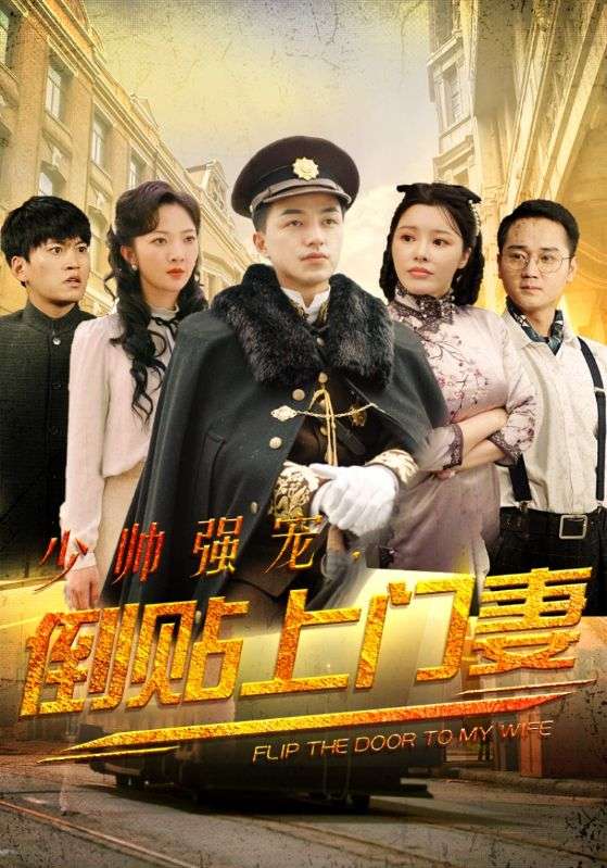 少帅强宠倒贴上门妻海报图
