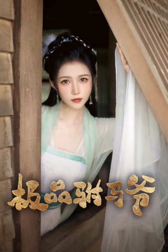 极品驸马爷海报图