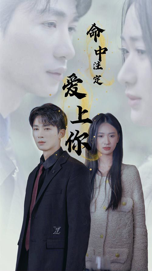 命中注定爱上你海报图
