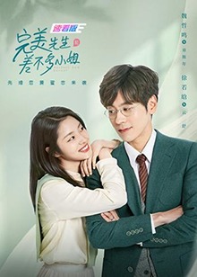 完美先生和差不多小姐速看海报图