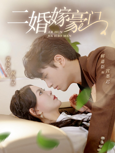 二婚嫁豪门海报图