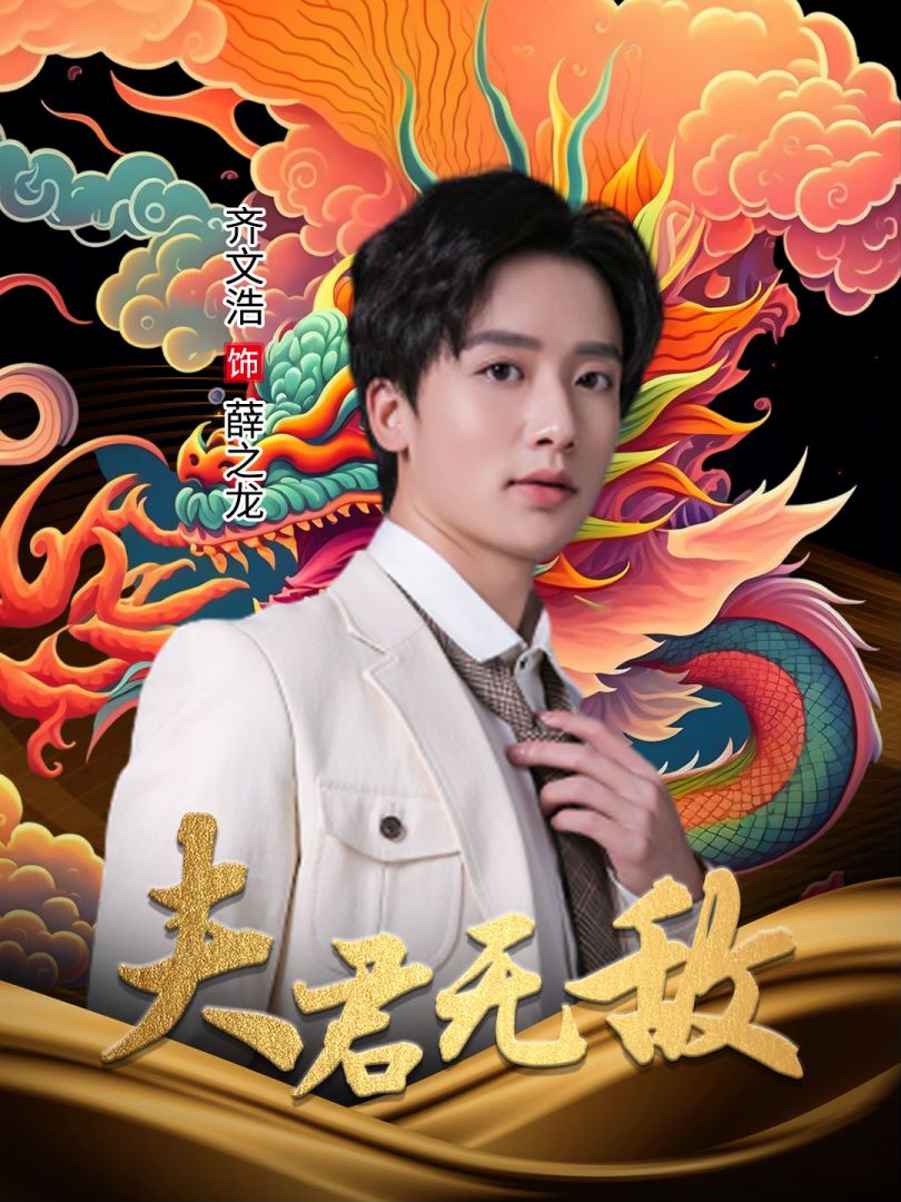 夫君无敌海报图