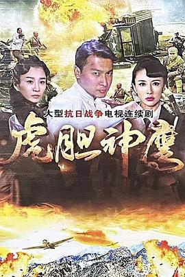 虎胆神鹰封面图