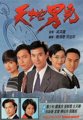 天地男儿封面图