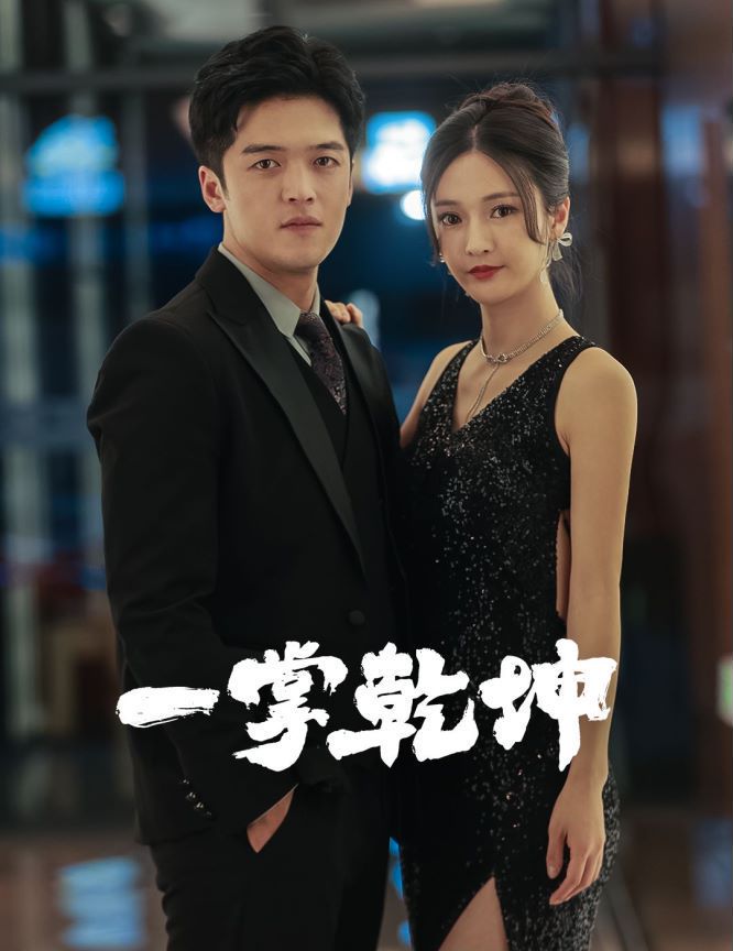 一掌乾坤海报图