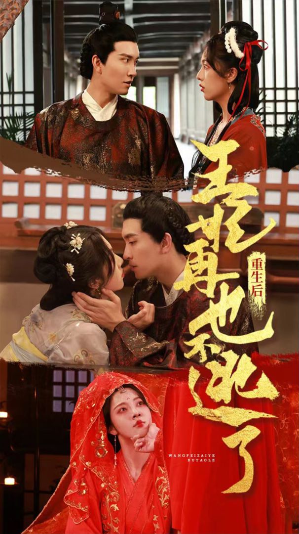重生后王妃再也不逃了海报图