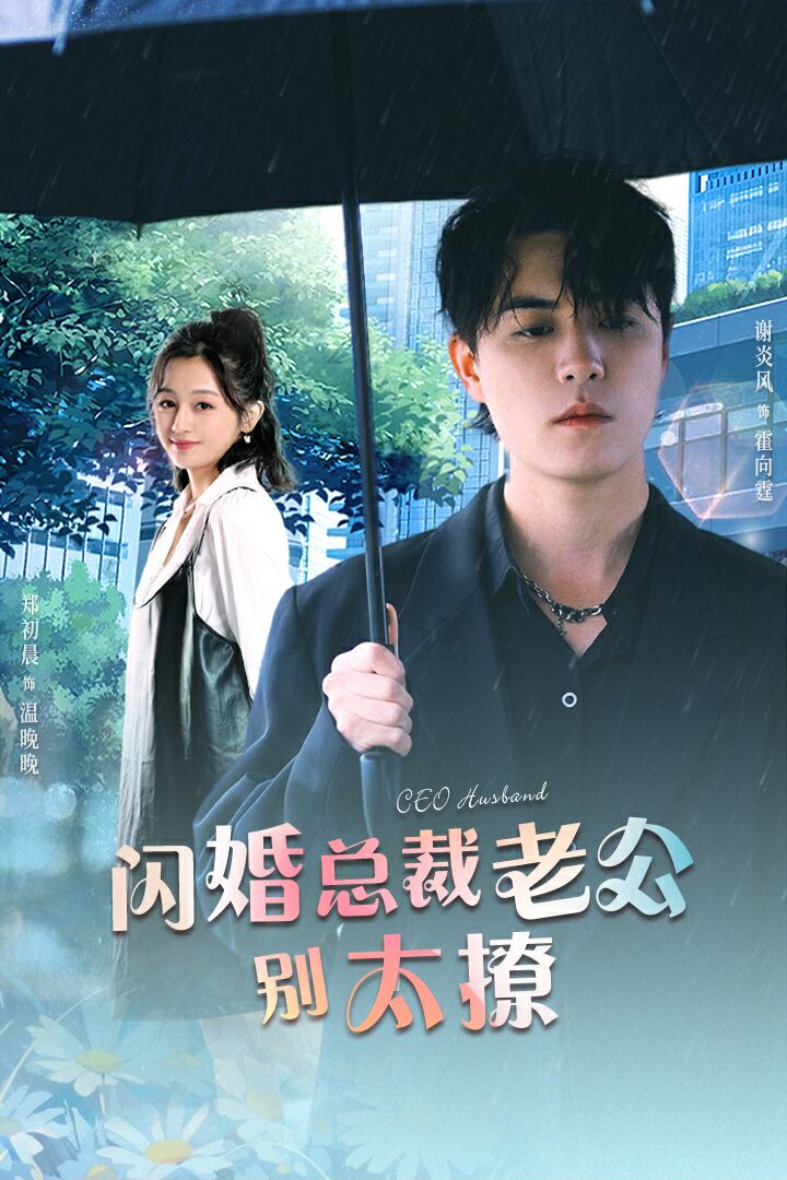 闪婚总裁老公别太撩海报图
