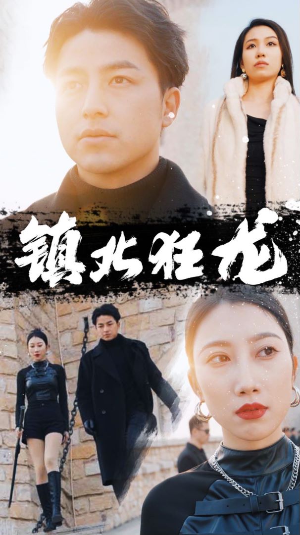 镇北狂龙海报图