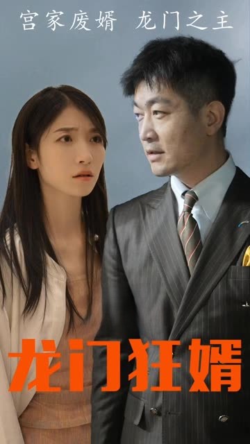 龙门狂婿海报图