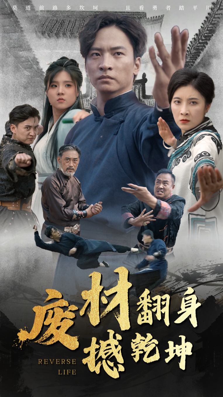 废材翻身撼乾坤海报图