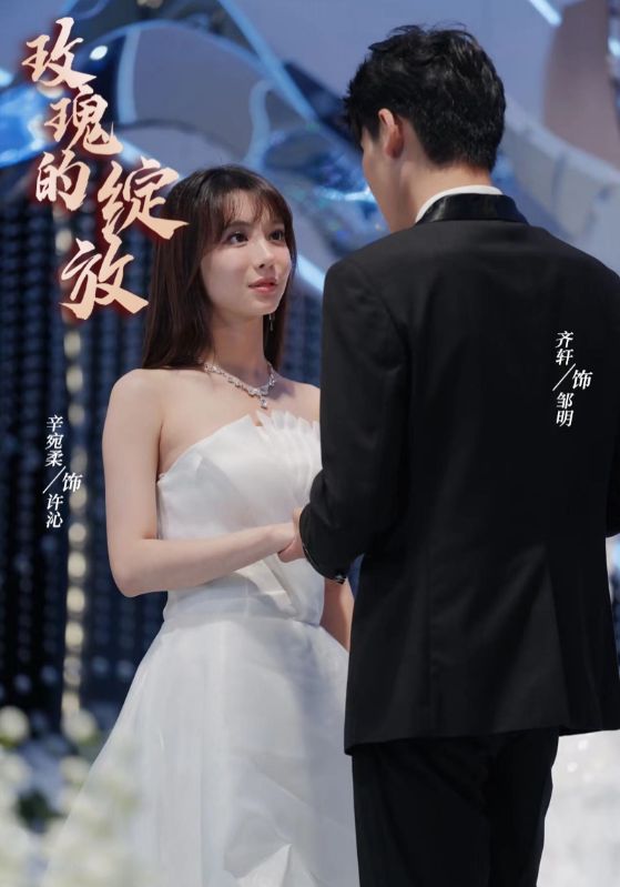 玫瑰的绽放海报图